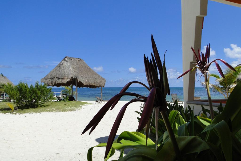 Mayan Beach Garden Эль-Пласер Экстерьер фото